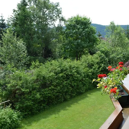 Ehrenreich/pichler * מריהפאר